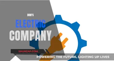 Electricians You Can Trust: Don's Electric Company