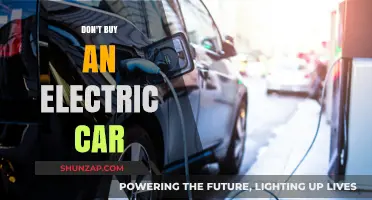 Why Electric Cars Might Not Be the Right Choice for You