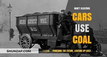 Debunking Myths: Electric Cars and Coal Power Dependency Explained