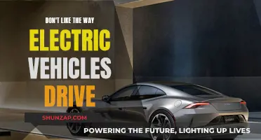 Electric Vehicles: Unappealing Driving Experience