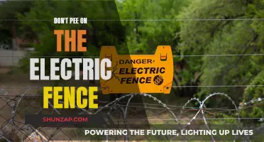 Lessons Learned: Don't Pee on Electric Fences