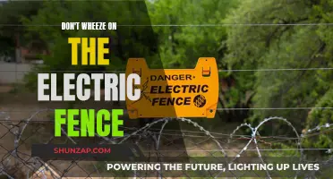 Electric Fence Dangers: Don't Wheeze and Stay Alive