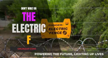 Electric F Whizzing: A Cautionary Tale