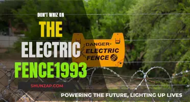 Lessons From 1993: Avoid the Electric Fence!