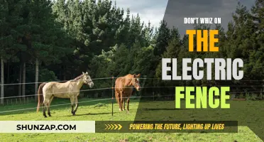 Electric Fence Hazards: Avoid Whizzing, Stay Safe