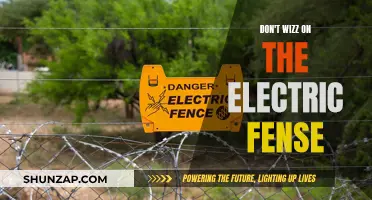 Electric Fence Wizzing: What Not to Do!