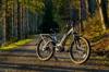 electric bikes