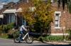 electric bikes