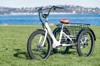 electric bikes