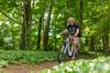 electric bikes