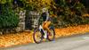 electric bikes