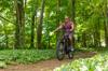 electric bikes