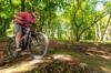 electric bikes