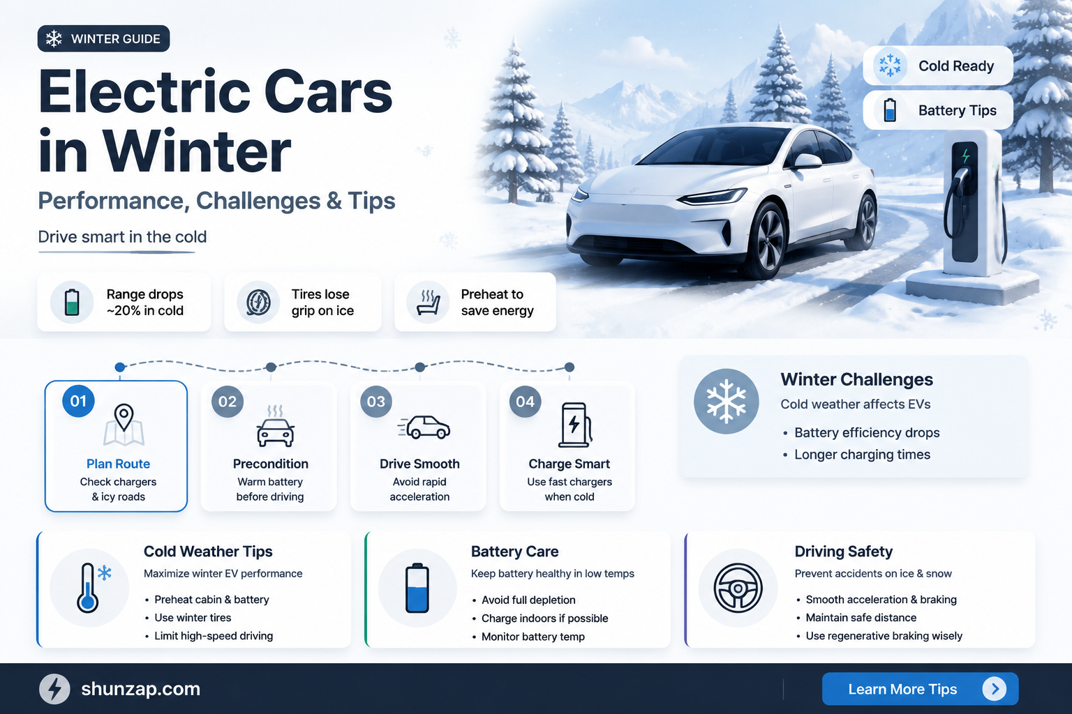are electric cars good in cold climates