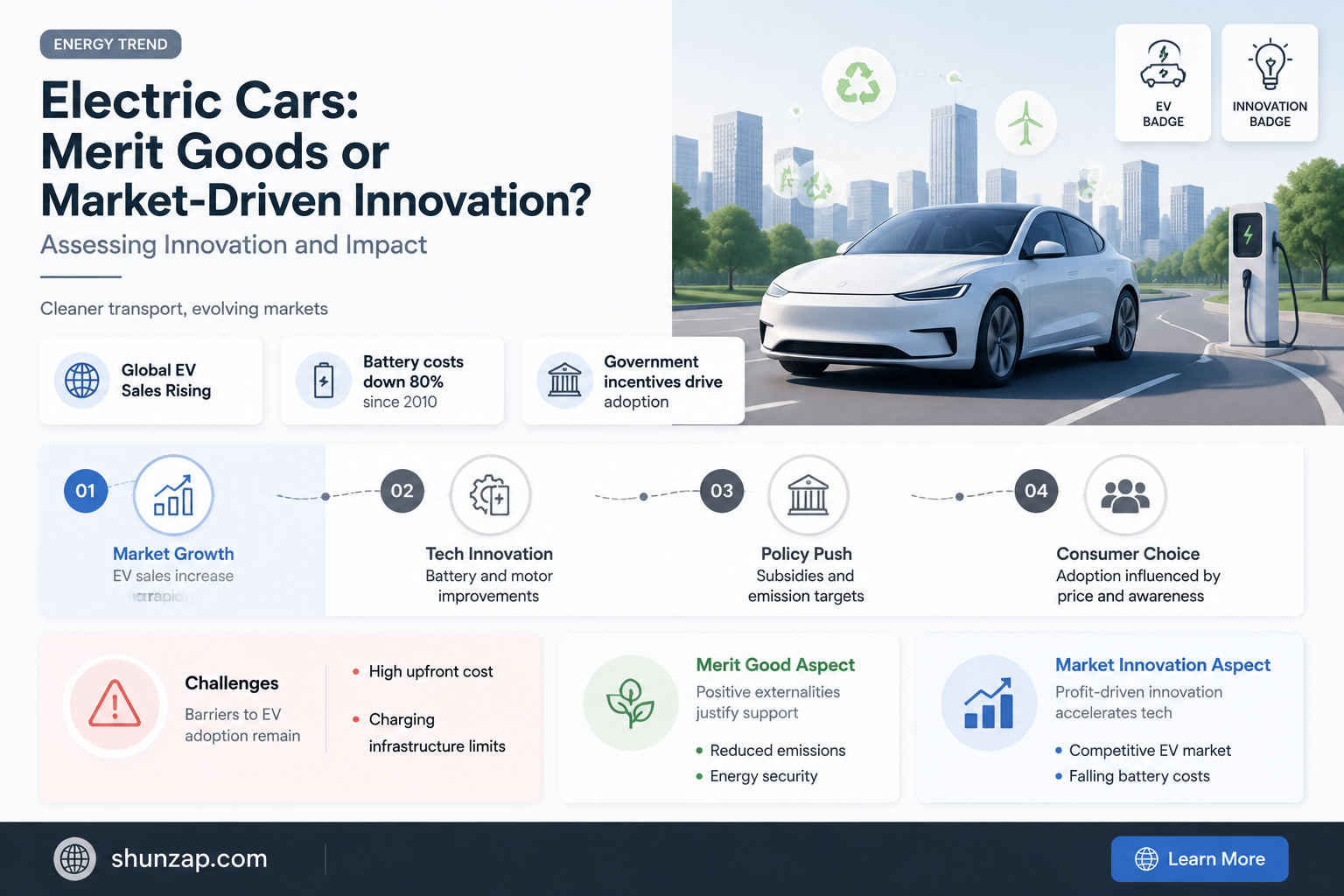 are electric cars merit goods