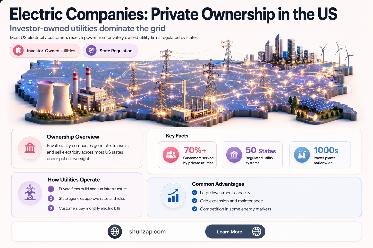 are electric companies in the us privately owned