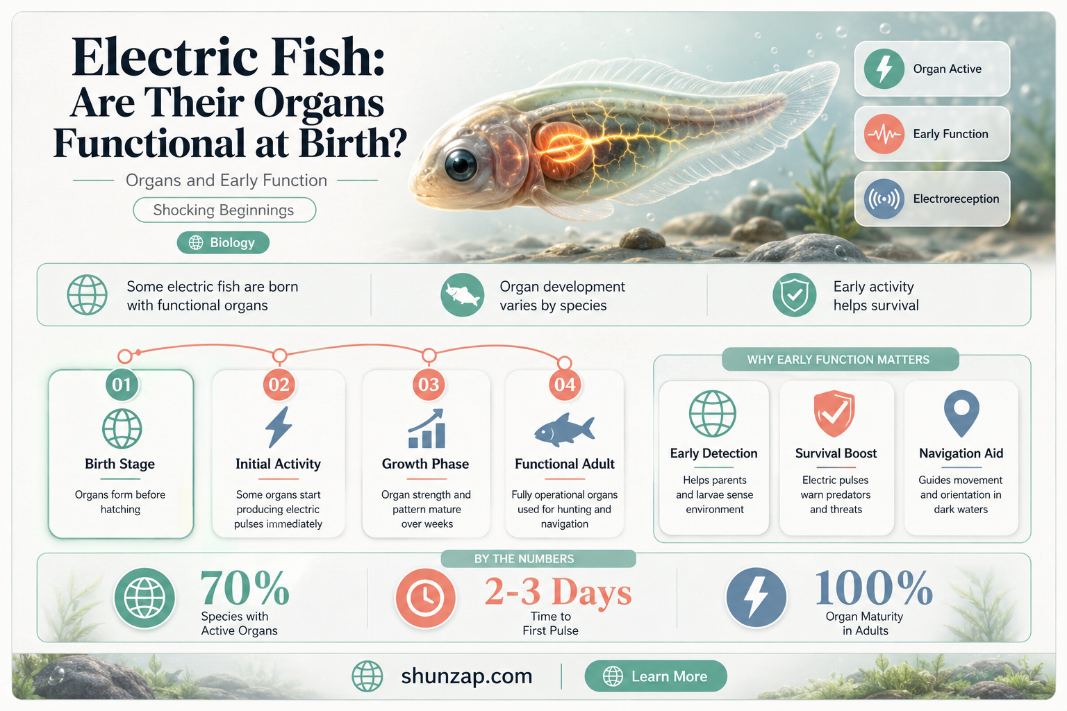 are electric organs functional at birth fish