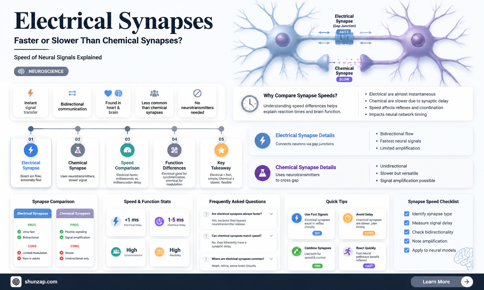 are electrical synapses faster than chemical synapses