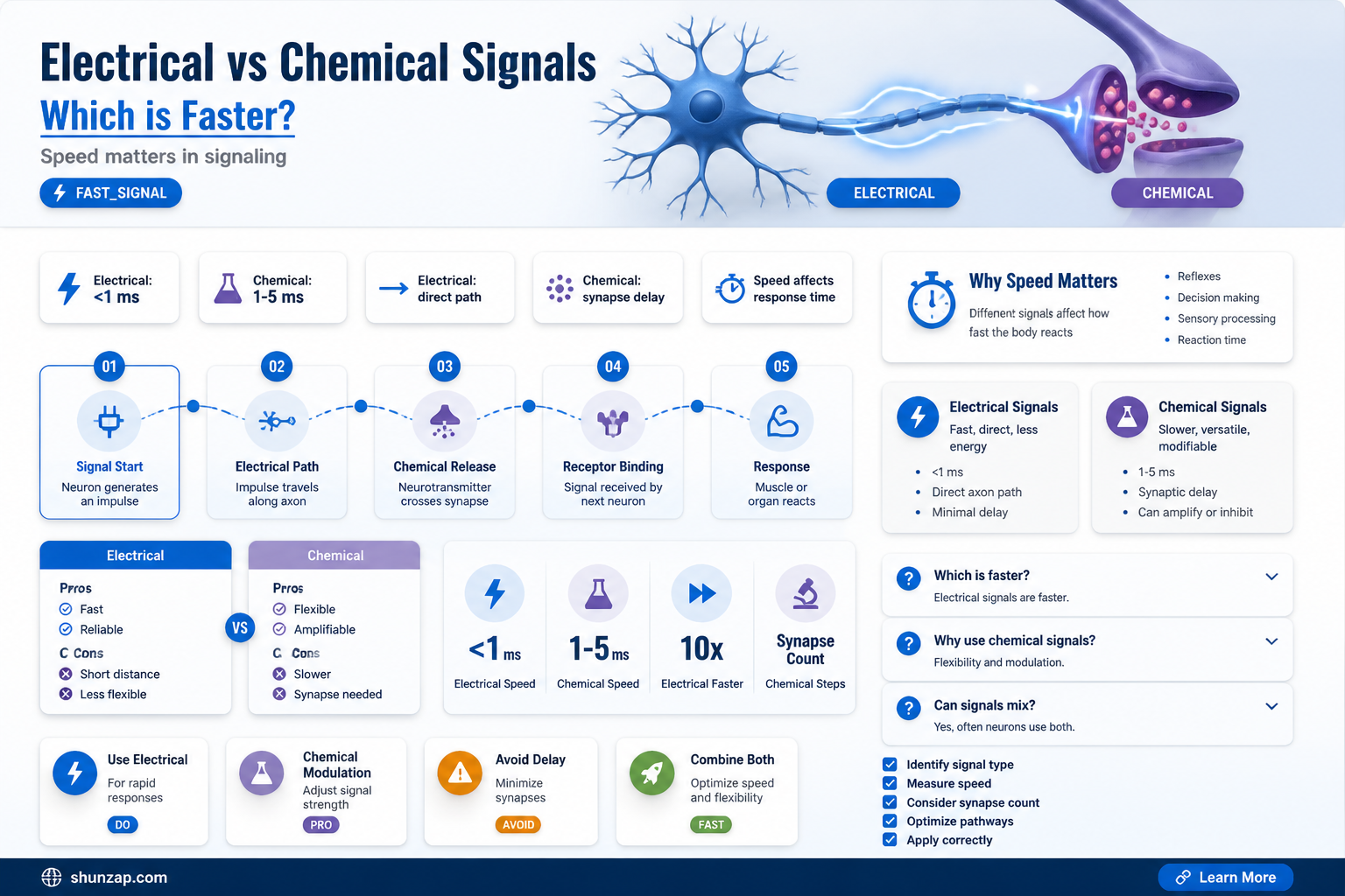 are electrical signals quicker than chemical signals