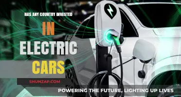 Global Shift: Which Countries Are Leading Electric Car Investments?