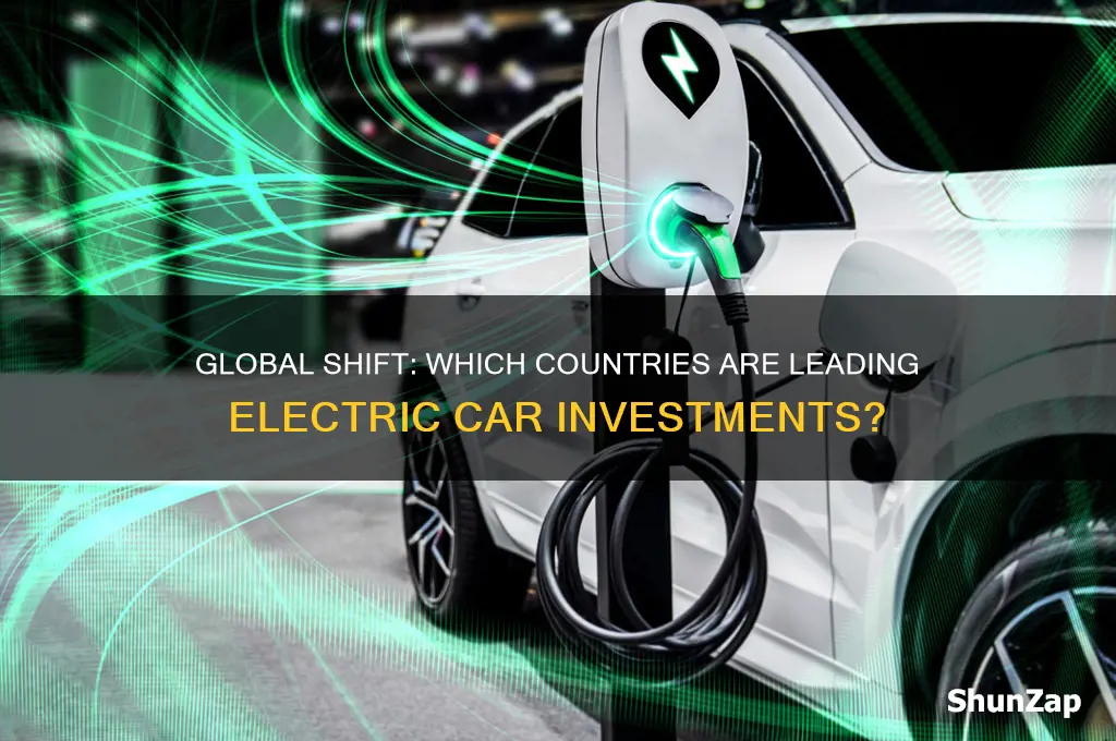 has any country invested in electric cars