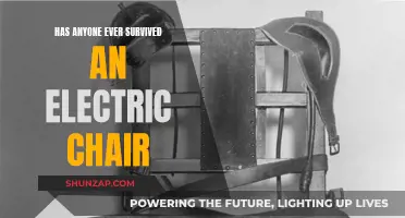 Electric Chair Executions: Any Survivors?