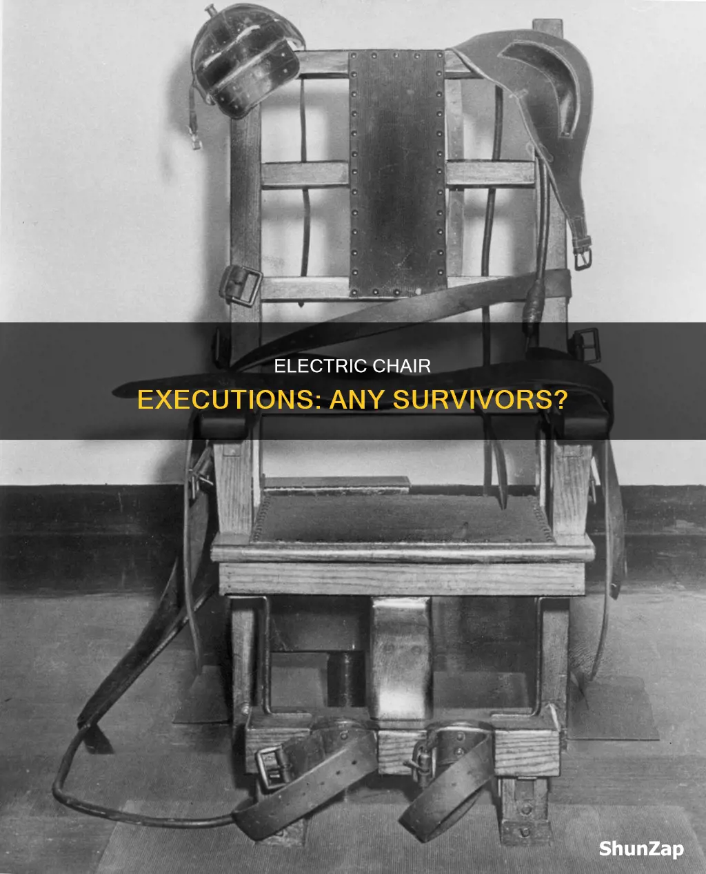 has anyone ever survived an electric chair