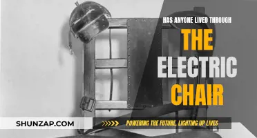 The Electric Chair: Survivors' Stories and Shocking Truths