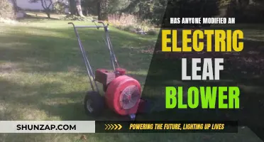 Innovative Ideas to Modify Your Electric Leaf Blower