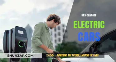Charger Electric Cars: Revolutionizing the Future of Sustainable Transportation