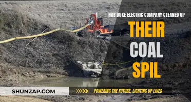 Duke Electric's Coal Spill: A Clean-Up Success?