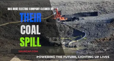 Duke Electric's Coal Spill: Cleaned Up or Cover-Up?