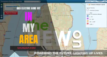 Electricity Outage: Area-Wide Power Loss and What to Do