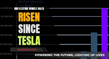 Electric Vehicle Sales: A Rising Trend Post-Tesla Revolution