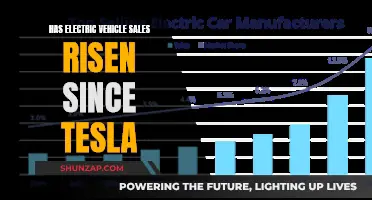 The Rise of Electric Vehicles: Post-Tesla Sales Surge