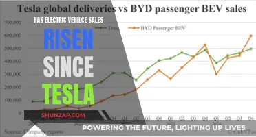 Electric Vehicle Sales: The Tesla Effect and Rising Demand