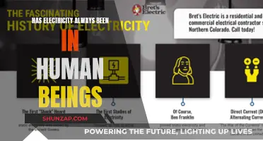 Electricity and Humans: A Historical Perspective