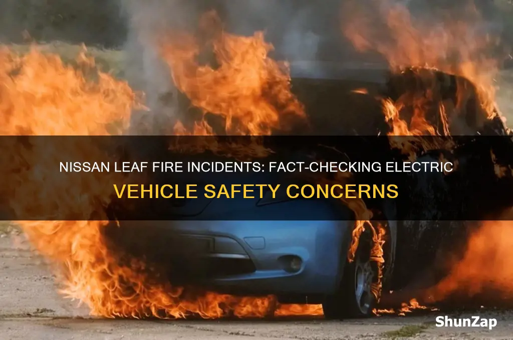 has nissan leaf electric car ever gone on fire