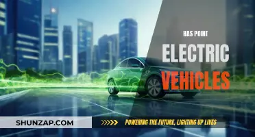 The Future of Electric Vehicles: Has the Point Been Reached?