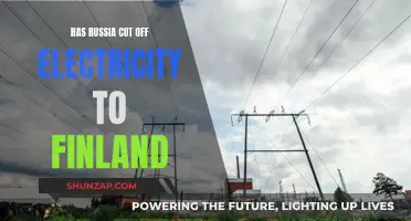 Russia Cuts Finland's Electricity: What You Need To Know