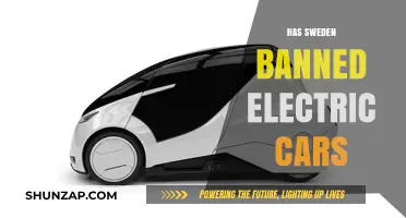 Sweden's Stance on Electric Cars: Banned or Embracing Green Mobility?