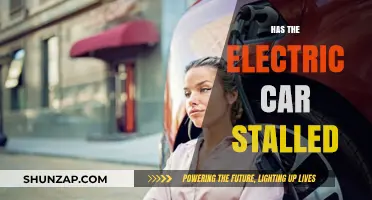 Has the Electric Car Revolution Stalled? Challenges and Future Prospects