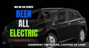 The Leaf's Electric Evolution: A Historical Perspective