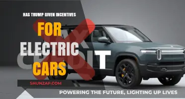 Trump's Electric Car Incentives: Boost or Bust for Green Transportation?