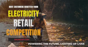 Electricity Retail Competition: Boon or Bane for Customers?