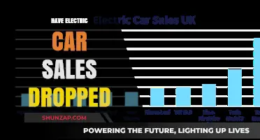 Electric Car Sales Decline: Analyzing the Recent Drop in Demand