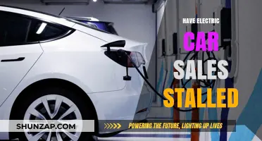 Electric Car Sales Stalled: Analyzing the Slowdown in EV Adoption