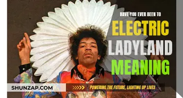 Exploring Electric Ladyland: Understanding the Song's True Meaning