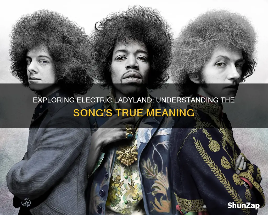 have you ever been to electric ladyland meaning