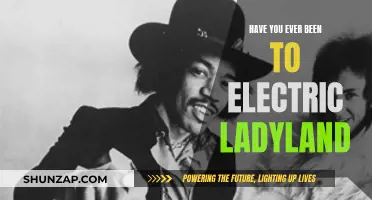 Jimi Hendrix's Electric Ladyland: A Psychedelic Journey